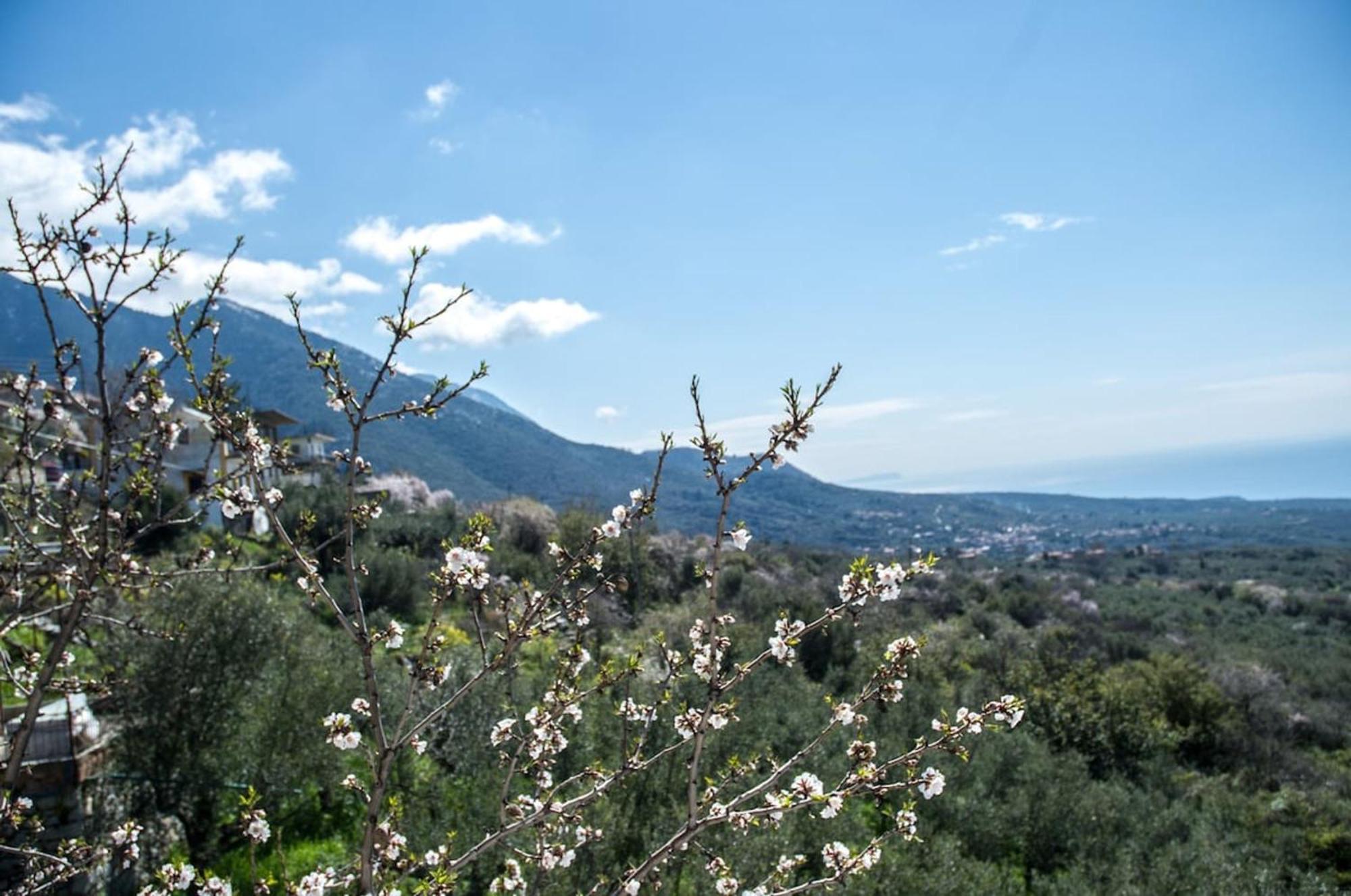 Villa Dimos-Mani Wonderful View à Tseria Extérieur photo
